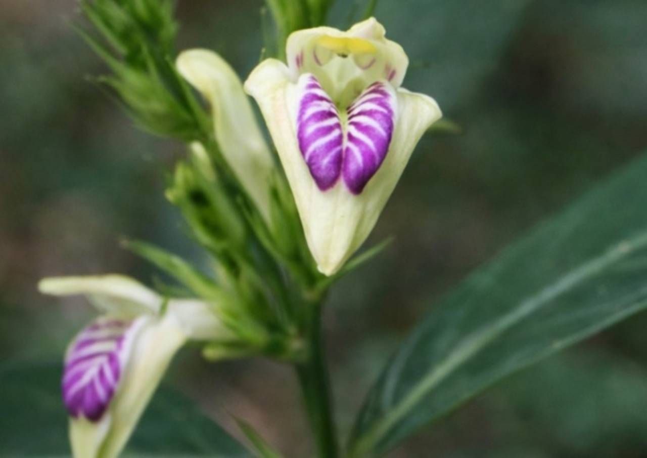 Melhores destinos para 2025